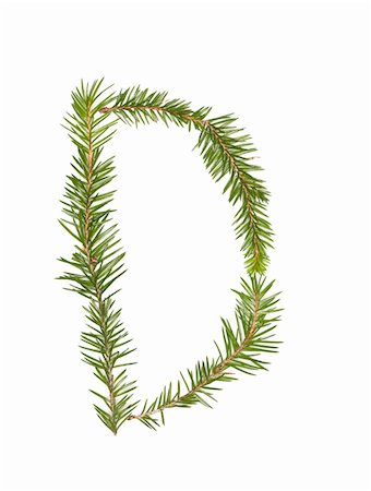 Spruce twigs forming the letter 'D' isolated on white Photographie de stock - Aubaine LD & Abonnement, Code: 400-04643451