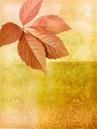 simsearch:400-04323613,k - Old wall background with autumnal leaves and stains Stock Photo - Budget Royalty-Free & Subscription, Code: 400-04654509