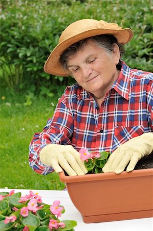 family backyard gardening not barbeque - Senior woman - gardening Stock Photo - Budget Royalty-Free & Subscription, Code: 400-04656133