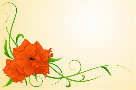 Vector image of a red flower with leaves and vines Stock Photo - Budget Royalty-Free & Subscription, Code: 400-04656664