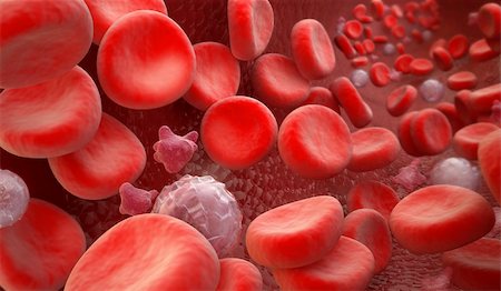 Blood Cells : erythrocyte, thrombocyte, leukocyte Stock Photo - Budget Royalty-Free & Subscription, Code: 400-04656812