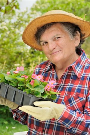 Senior woman - gardening Stock Photo - Budget Royalty-Free & Subscription, Code: 400-04657508