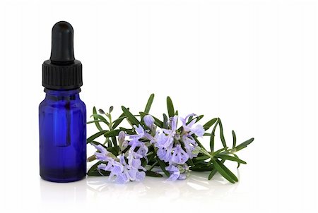 simsearch:400-04118662,k - Rosemary herb leaf sprig with flowers and an aromatherapy essential oil glass bottle, over white background. Photographie de stock - Aubaine LD & Abonnement, Code: 400-04658548