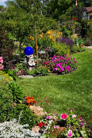 petunia - A beautiful, curving flower bed full of blooming annuals & perennials line a sunny backyard. Foto de stock - Super Valor sin royalties y Suscripción, Código: 400-04658898