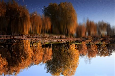 simsearch:400-06767512,k - Small Lake with Trees in Autumn, with reflections in the water Fotografie stock - Microstock e Abbonamento, Codice: 400-04659280