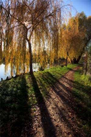 simsearch:400-06767512,k - Small Lake with Trees in Autumn, with reflections in the water Fotografie stock - Microstock e Abbonamento, Codice: 400-04659314