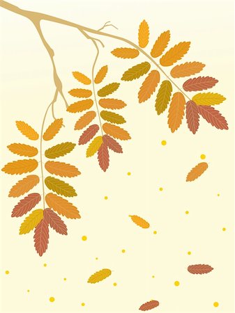 simsearch:400-06391236,k - background with autumn tree branch Fotografie stock - Microstock e Abbonamento, Codice: 400-04650624