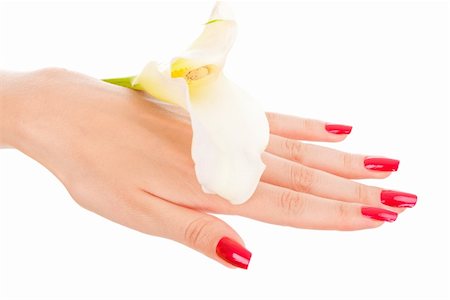 Closeup image of beautiful nails and fingers with flower over isolated white Stock Photo - Budget Royalty-Free & Subscription, Code: 400-04650722