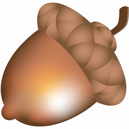 Image of a 3D realistic acorn. Foto de stock - Super Valor sin royalties y Suscripción, Código: 400-04651719