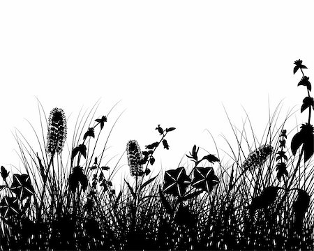 simsearch:400-08615799,k - Vector grass silhouettes background. All objects are separated. Stock Photo - Budget Royalty-Free & Subscription, Code: 400-04652115