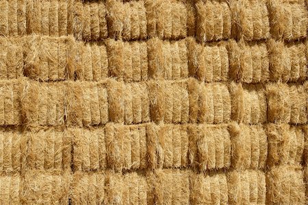 simsearch:400-09274679,k - Barn with square shape stack on columns outdoor cereal texture Stock Photo - Budget Royalty-Free & Subscription, Code: 400-04652453