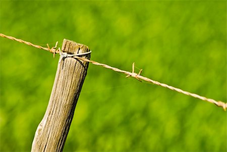 simsearch:400-09224451,k - Old rusty fence with wooden pole with green wheat or barley blurred in the background Stock Photo - Budget Royalty-Free & Subscription, Code: 400-04652927