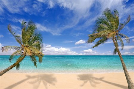 Image of tropical beach. There is no one viewable in the image. Horizontally framed shot. Stock Photo - Budget Royalty-Free & Subscription, Code: 400-04653444