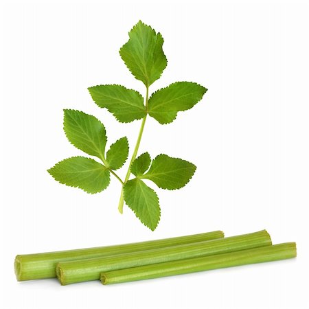 Angelica herb leaf and stems, isolated over white background. Photographie de stock - Aubaine LD & Abonnement, Code: 400-04664368