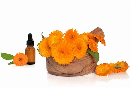 ringblumen - Marigold flowers in an olive wood mortar with pestle and scattered with aromatherapy essential oil dropper bottle, over white background with reflection. Stockbilder - Microstock & Abonnement, Bildnummer: 400-04664420