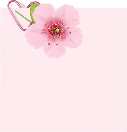 Vector Love Letter with beautiful Cherry blossom Stock Photo - Budget Royalty-Free & Subscription, Code: 400-04665073