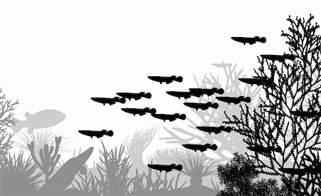 simsearch:700-00553984,k - Vector illustration of coral and fish silhouettes Photographie de stock - Aubaine LD & Abonnement, Code: 400-04665195
