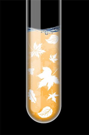 simsearch:400-05200584,k - Autumn illustration in an test-tube on black background Stock Photo - Budget Royalty-Free & Subscription, Code: 400-04665697