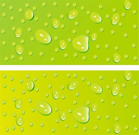 simsearch:400-07450722,k - beautiful decoration water drops on green background Stock Photo - Budget Royalty-Free & Subscription, Code: 400-04665797