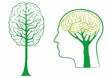 think ecological, green brain tree, vector Foto de stock - Super Valor sin royalties y Suscripción, Código: 400-04668002