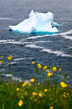 Melting iceberg off the coast of Newfoundland, Canada Stockbilder - Microstock & Abonnement, Bildnummer: 400-04668973