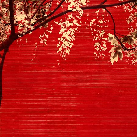 white and black blossom on red wooden slatted background with text space Photographie de stock - Aubaine LD & Abonnement, Code: 400-04669744