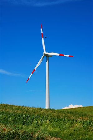 Single wind turbine in green meadow with two birds flying round it Stock Photo - Budget Royalty-Free & Subscription, Code: 400-04669881