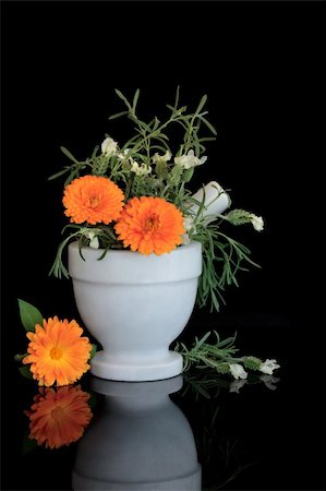 simsearch:400-05372314,k - Marigold flowers and white lavender herb in a marble mortar with pestle with reflection over black background. Stockbilder - Microstock & Abonnement, Bildnummer: 400-04660133