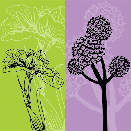 simsearch:400-04645691,k - Set of two plants in a hand inked style. Stock Photo - Budget Royalty-Free & Subscription, Code: 400-04660143
