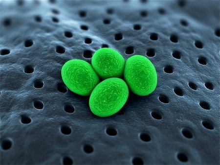 simsearch:400-04157099,k - 3d rendered close up of isolated staphylococcus bacteria Stock Photo - Budget Royalty-Free & Subscription, Code: 400-04660207