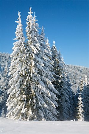 simsearch:400-04319458,k - winter calm mountain landscape with rime and snow covered spruce trees Stock Photo - Budget Royalty-Free & Subscription, Code: 400-04663328