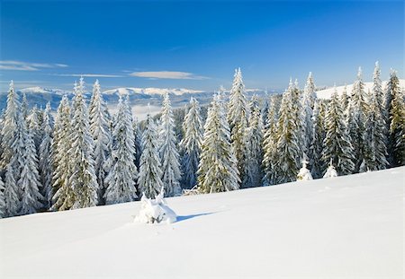 simsearch:400-04639977,k - winter calm mountain landscape with rime and snow covered spruce trees  (view from Bukovel ski resort (Ukraine) to Svydovets ridge) Photographie de stock - Aubaine LD & Abonnement, Code: 400-04663330