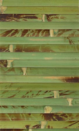 simsearch:400-06528615,k - Natural structure of a bamboo skan image Foto de stock - Royalty-Free Super Valor e Assinatura, Número: 400-04663475