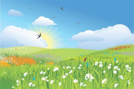 Colorfull meadow / flower and grass /  blue sky / vector Stock Photo - Budget Royalty-Free & Subscription, Code: 400-04663678