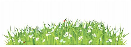 grass and flowers on white background / horizontal / vector Photographie de stock - Aubaine LD & Abonnement, Code: 400-04663679