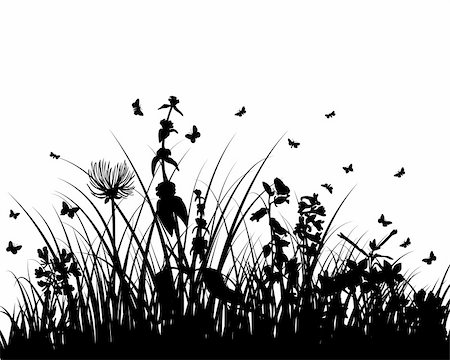 simsearch:400-04678689,k - Vector grass silhouettes background. All objects are separated. Photographie de stock - Aubaine LD & Abonnement, Code: 400-04663739