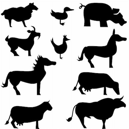 silhouette of donkeys and sheep - Farm animals isolated on a white background. Stock Photo - Budget Royalty-Free & Subscription, Code: 400-04674873