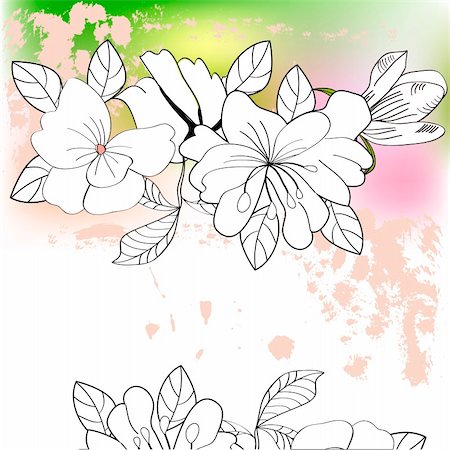 simsearch:400-07035863,k - Colorful background with flowers Stockbilder - Microstock & Abonnement, Bildnummer: 400-04677304