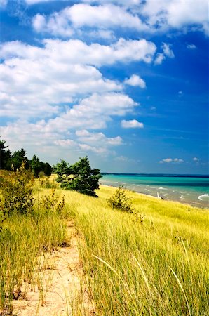simsearch:400-08223992,k - Sand dunes at beach shore. Pinery provincial park, Ontario Canada Stock Photo - Budget Royalty-Free & Subscription, Code: 400-04678018