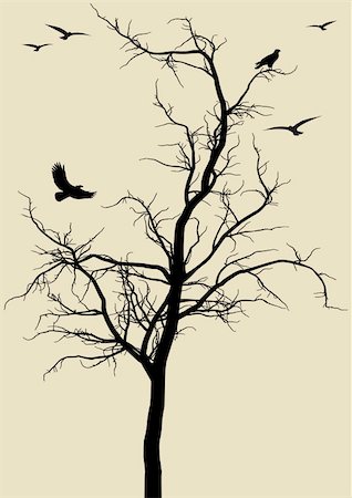 silhouettes of eagle in tree - black tree silhouette with eagles, vector background Stock Photo - Budget Royalty-Free & Subscription, Code: 400-04678606