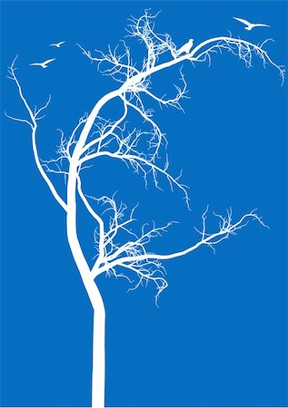 eagle images clip art - detailed tree silhouette with birds, vector background Stock Photo - Budget Royalty-Free & Subscription, Code: 400-04678609