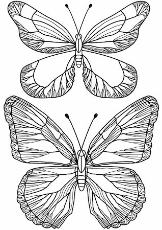 delicate hand drawn butterflies, vector Stock Photo - Budget Royalty-Free & Subscription, Code: 400-04678603