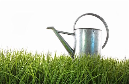 Old watering can in grass with white Stock Photo - Budget Royalty-Free & Subscription, Code: 400-04678640