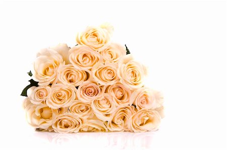 simsearch:400-04436052,k - Roses Background Stock Photo - Budget Royalty-Free & Subscription, Code: 400-04679272