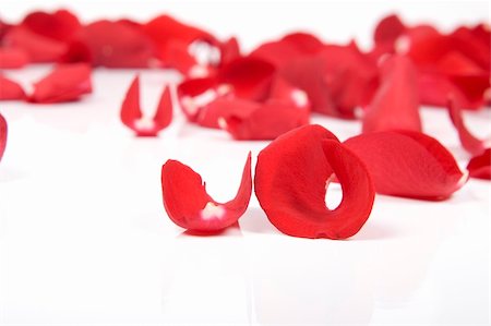 Red rose petals Stock Photo - Budget Royalty-Free & Subscription, Code: 400-04679418