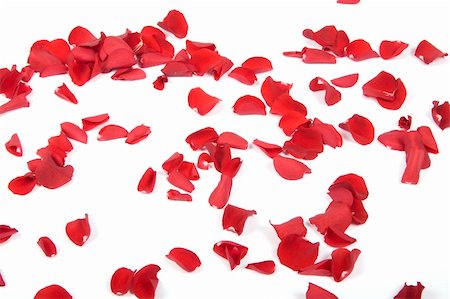 simsearch:400-05159213,k - Red rose petals Stock Photo - Budget Royalty-Free & Subscription, Code: 400-04679419