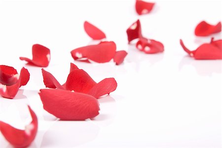 simsearch:400-05159213,k - Red rose petals Stock Photo - Budget Royalty-Free & Subscription, Code: 400-04679424