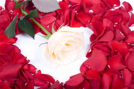 simsearch:400-04436052,k - Roses Background Stock Photo - Budget Royalty-Free & Subscription, Code: 400-04679429