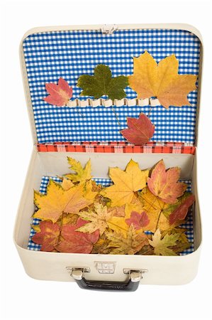 simsearch:400-04265520,k - Vintage suitcase with autumn leaves - holiday memories Foto de stock - Super Valor sin royalties y Suscripción, Código: 400-04679462