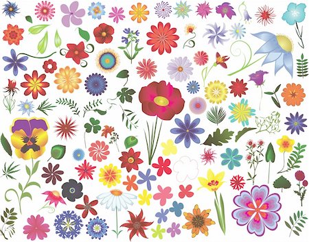 Set of colored vector floral design elements: flowers and leaves Stock Photo - Budget Royalty-Free & Subscription, Code: 400-04679758